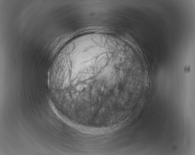 X0000115170014200912091034