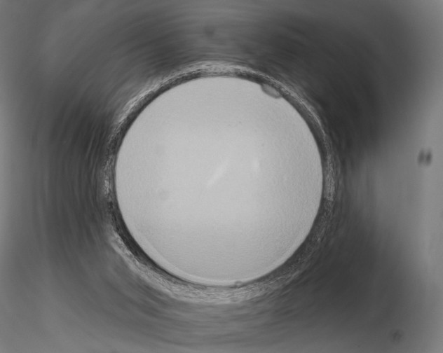 X0000115170015200912091034