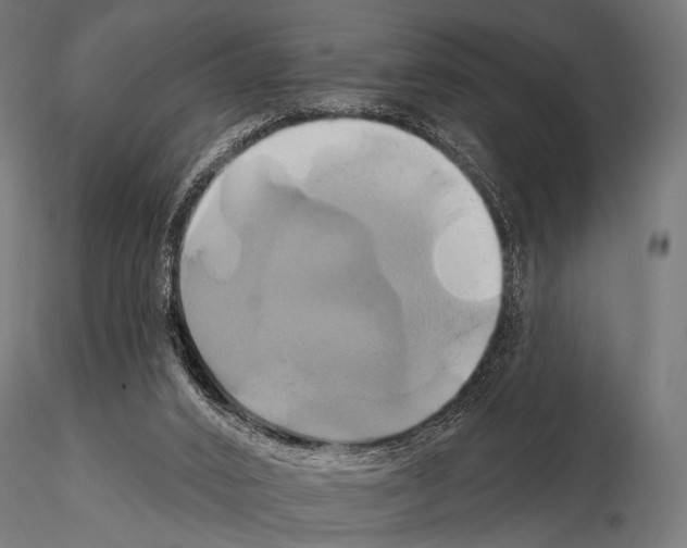 X0000115170016200912091034