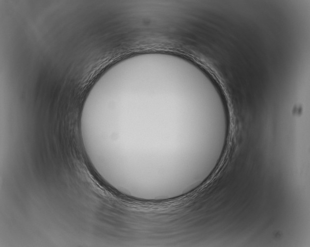 X0000115170017200912091034