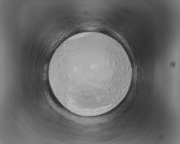 X0000115170018200912091034