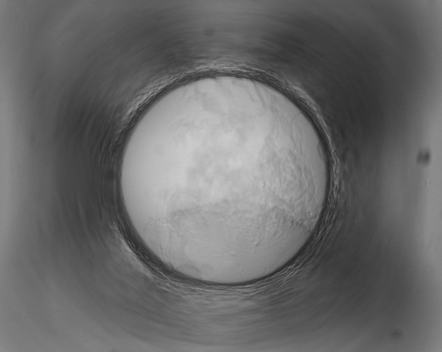 X0000115170020200912091034