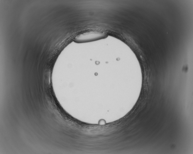 X0000115170021200912091034