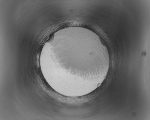 X0000115170022200912091034