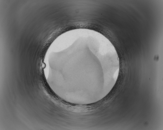 X0000115170024200912091034