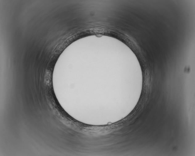 X0000115170025200912091034