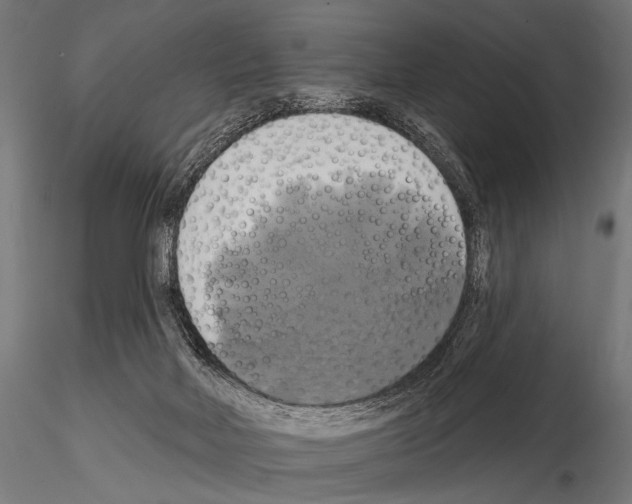 X0000115170026200912091034