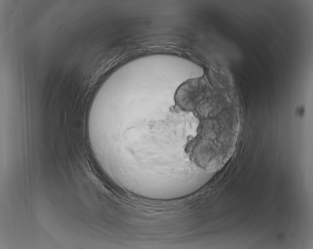 X0000115170028200912091034