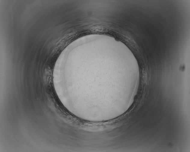 X0000115170029200912091034