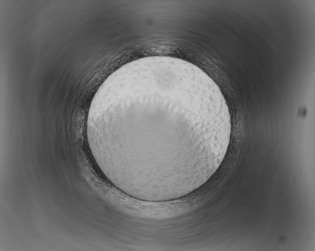 X0000115170030200912091034