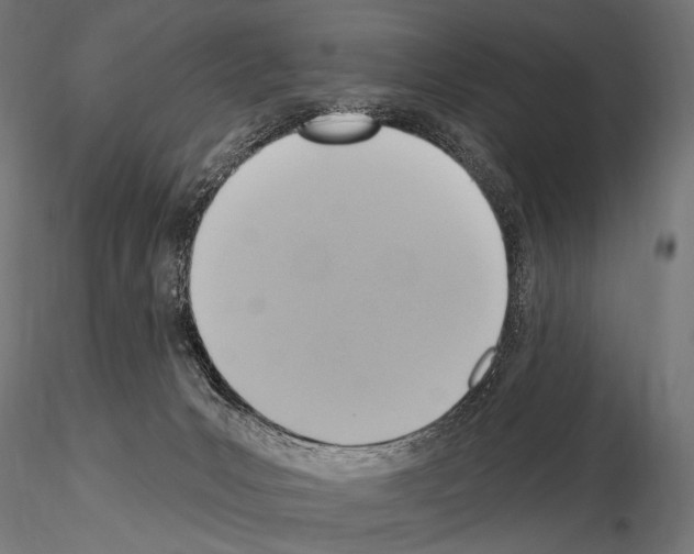 X0000115170031200912091034