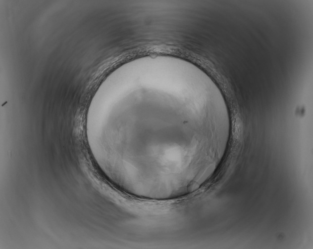 X0000115170032200912091034