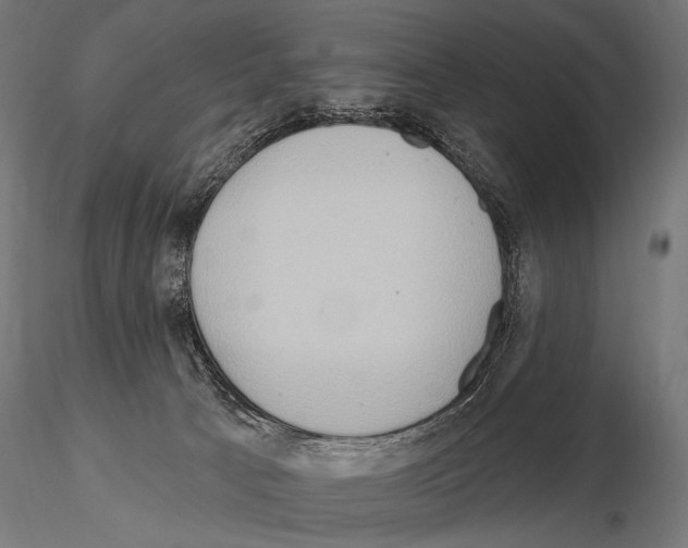 X0000115170033200912091034