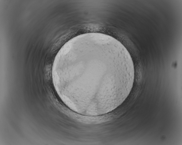 X0000115170034200912091034