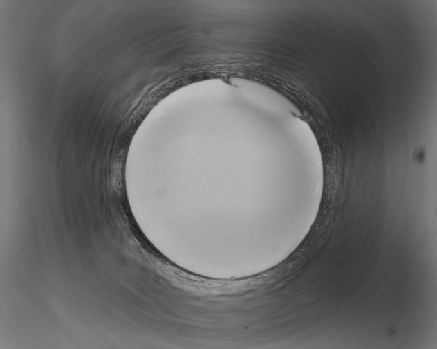 X0000115170035200912091034