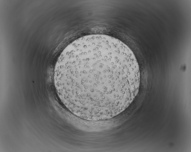 X0000115170038200912091034