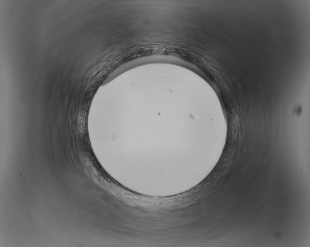 X0000115170039200912091034