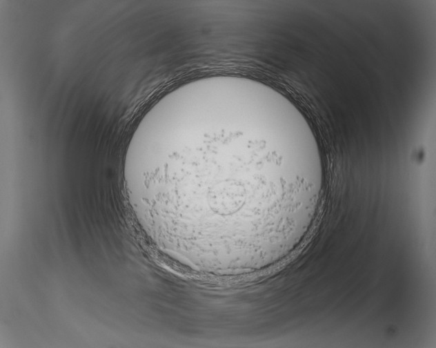 X0000115170041200912091034