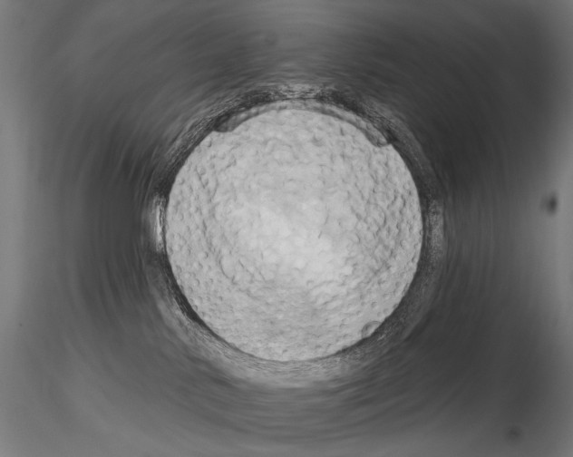 X0000115170042200912091033