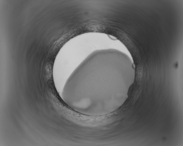 X0000115170043200912091033