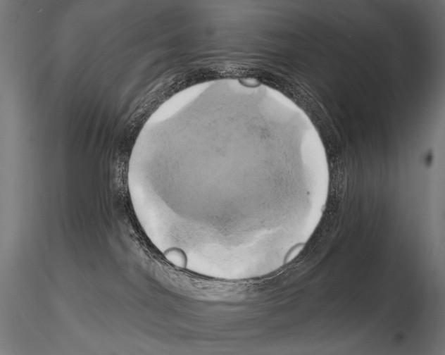 X0000115170044200912091033