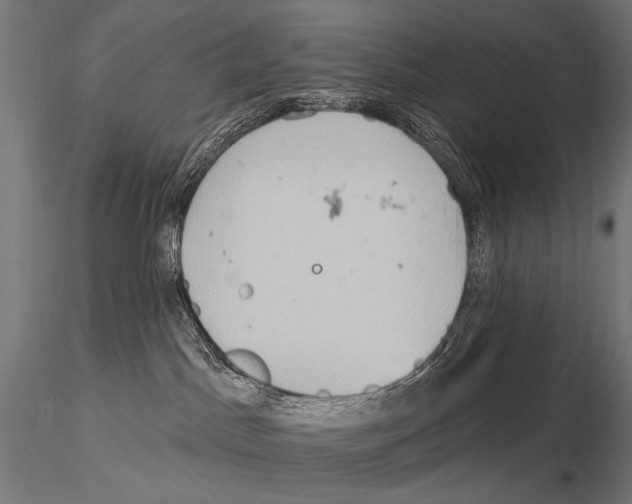 X0000115170045200912091033