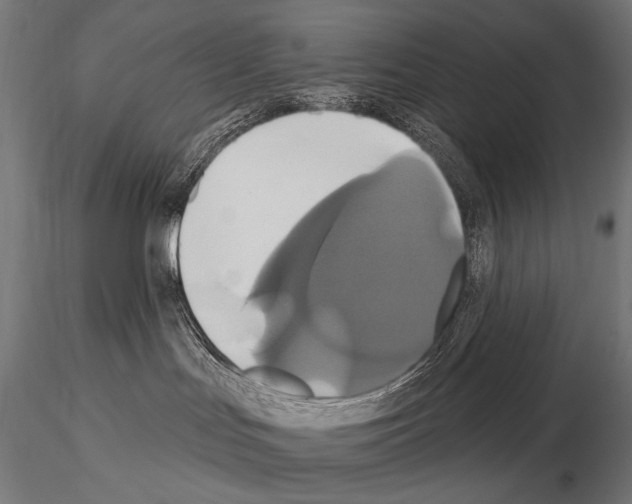 X0000115170047200912091033