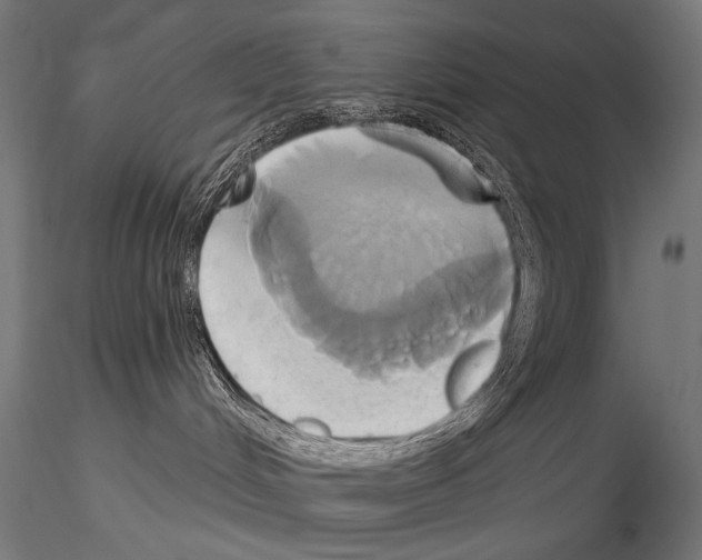 X0000115170048200912091033