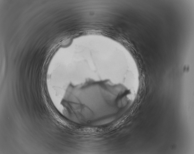 X0000115170049200912091033