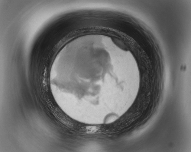 X0000115170050200912091033