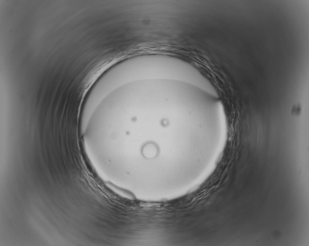 X0000115170052200912091033