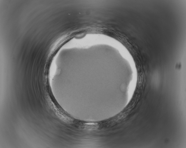 X0000115170053200912091033