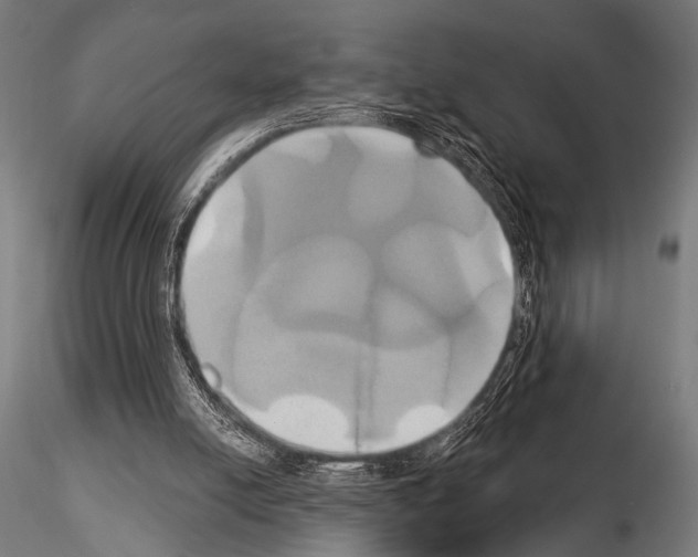 X0000115170054200912091033