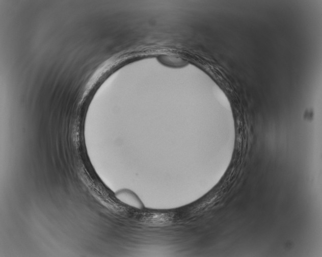 X0000115170056200912091033