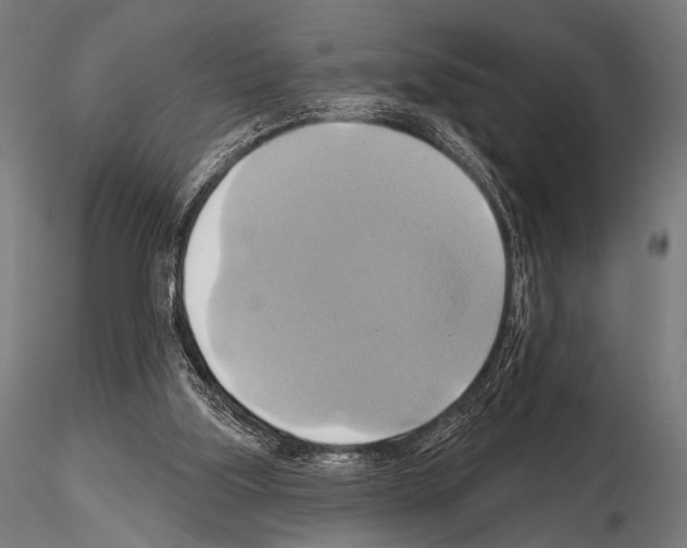 X0000115170059200912091033