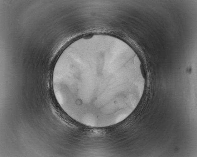 X0000115170060200912091033