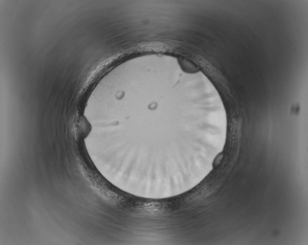 X0000115170064200912091033