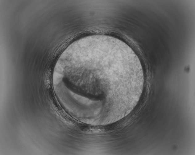 X0000115170065200912091033