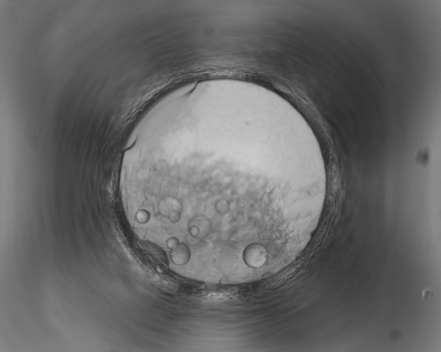 X0000115170066200912091033