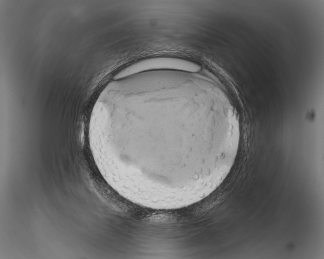 X0000115170067200912091033