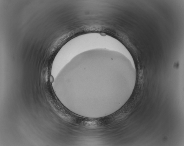 X0000115170068200912091033