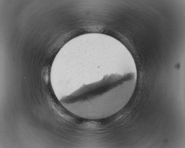 X0000115170069200912091033