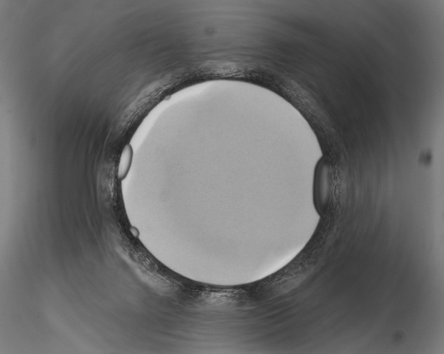 X0000115170072200912091033