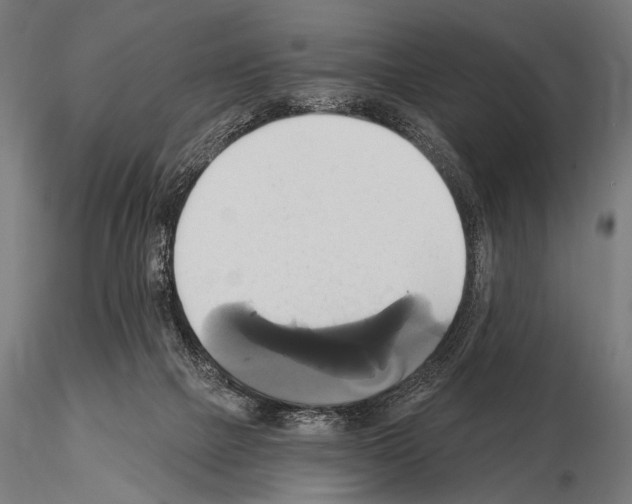 X0000115170073200912091033