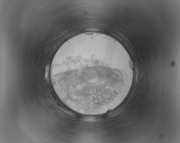 X0000115170075200912091033