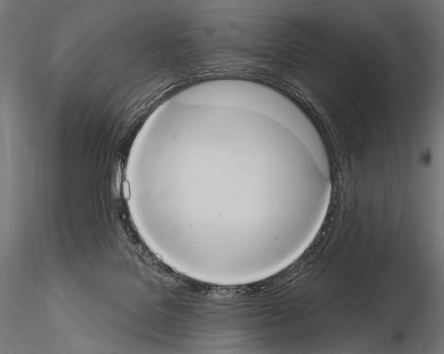 X0000115170076200912091033