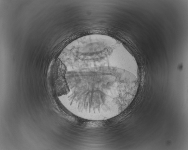 X0000115170077200912091033