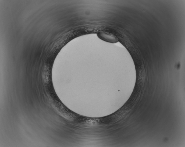 X0000115170080200912091033