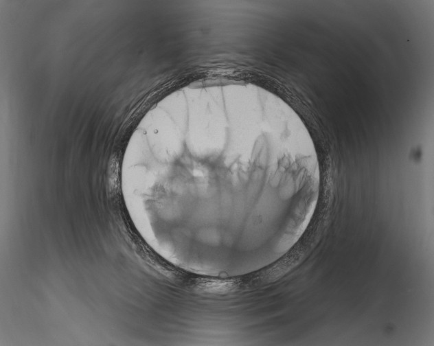 X0000115170081200912091033