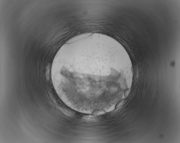 X0000115170082200912091033